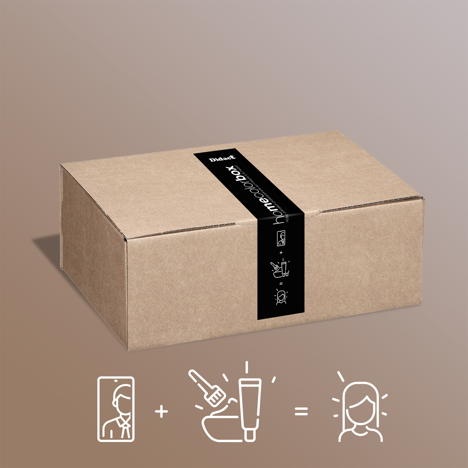 didact home color box